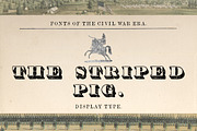 The Striped Pig Display Font, a Serif Font by New Blazing Star Press (Thumbnail 1 of 3)