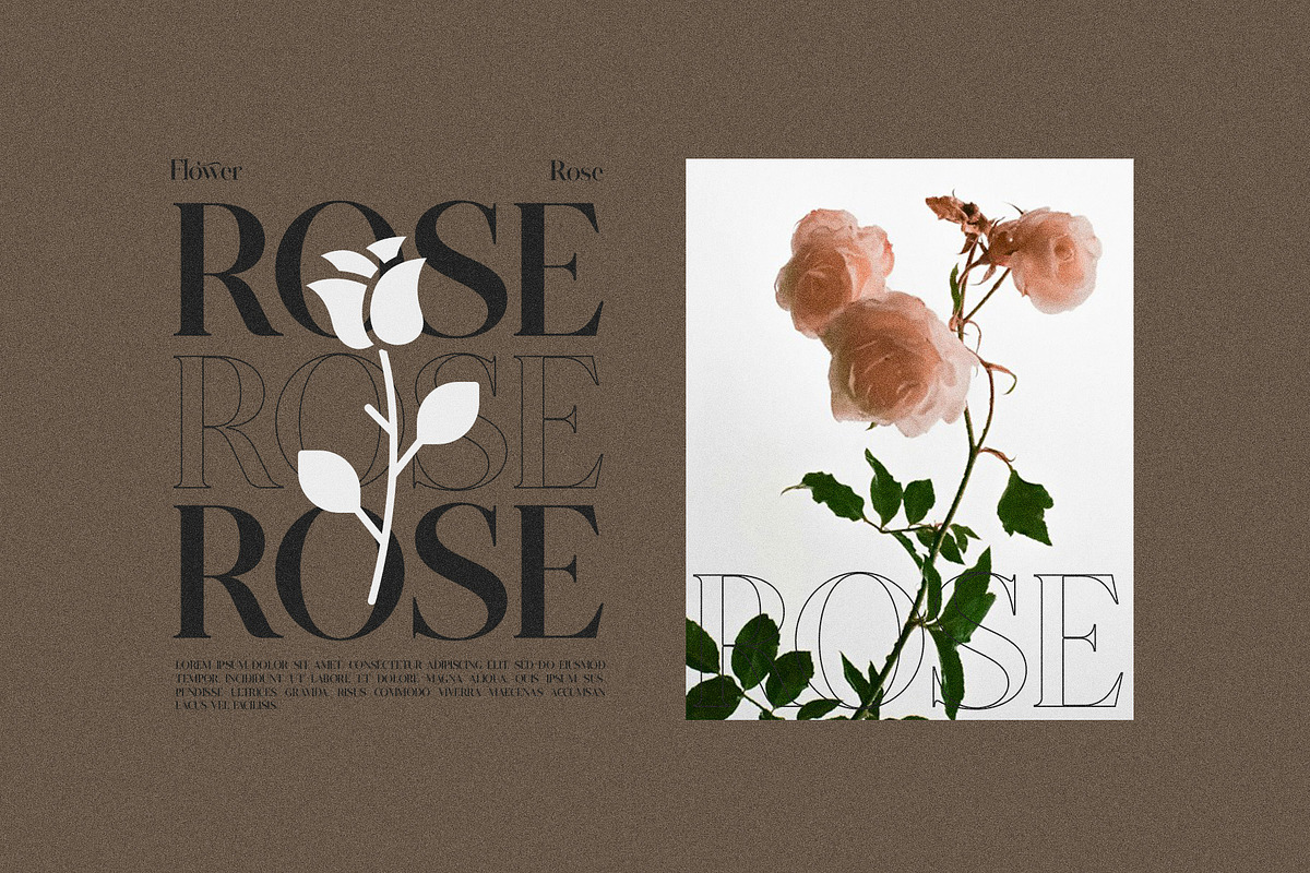 Stenvia Ligature Serif Font Typeface, a Serif Font by Graphicxell (Photo 4 of 10)