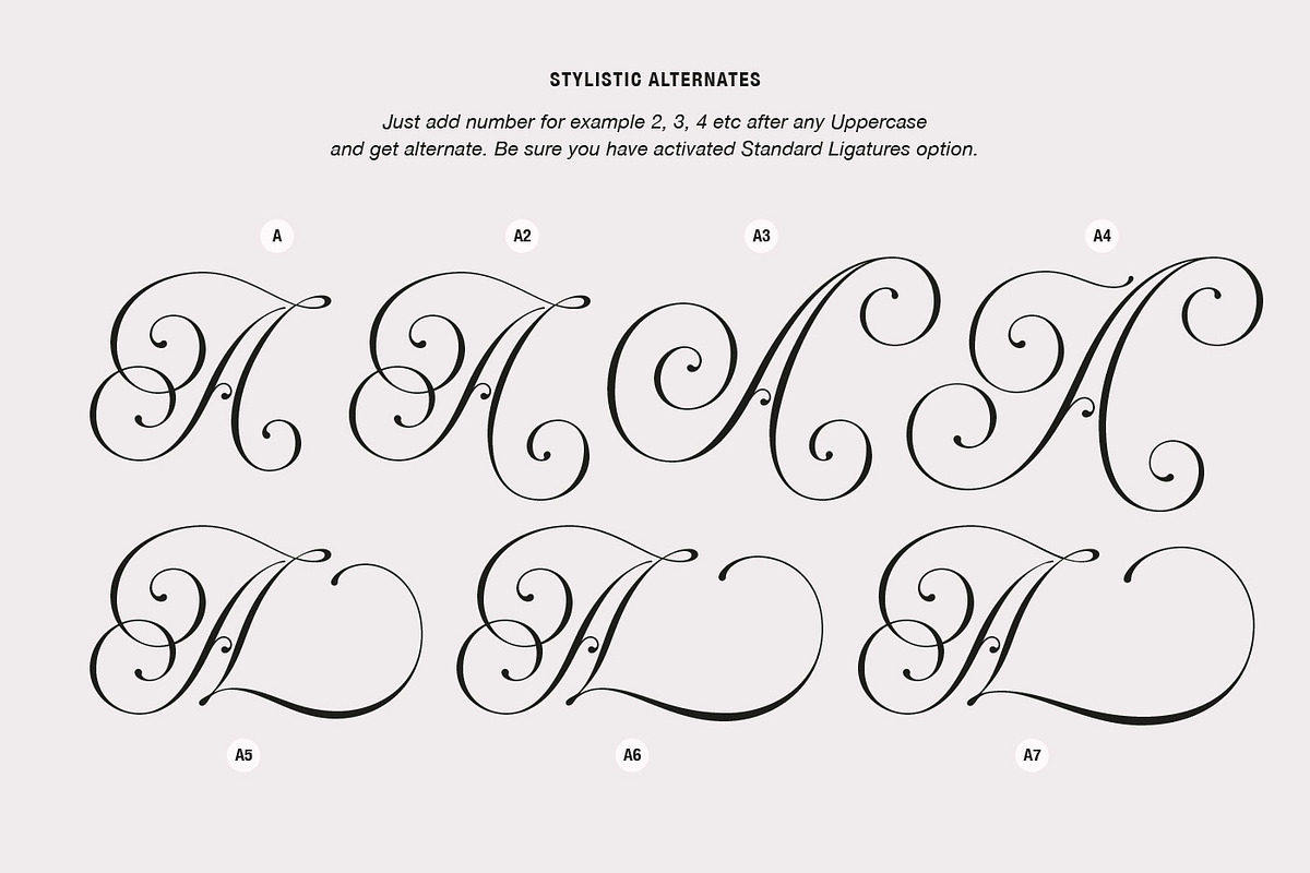Rocksane Display, a Serif Font by Andrey Sharonov (Photo 5 of 18)