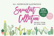 Watercolor Succulents and Cactus, an Illustration by Erika Firm (Thumbnail 1 of 5)