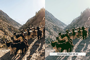 20 Himalayas Lightroom Preset & LUTs, a Preset Add-On by skybluecreative (Thumbnail 3 of 13)
