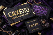 Caxexo - Modern Elegant Serif, a Serif Font by Astuti Studio (Thumbnail 11 of 25)