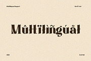 ManciNanci - Serif Font, a Serif Font by Boril Std (Thumbnail 10 of 12)
