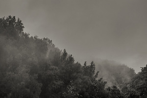 Foggy mountain forest landscape