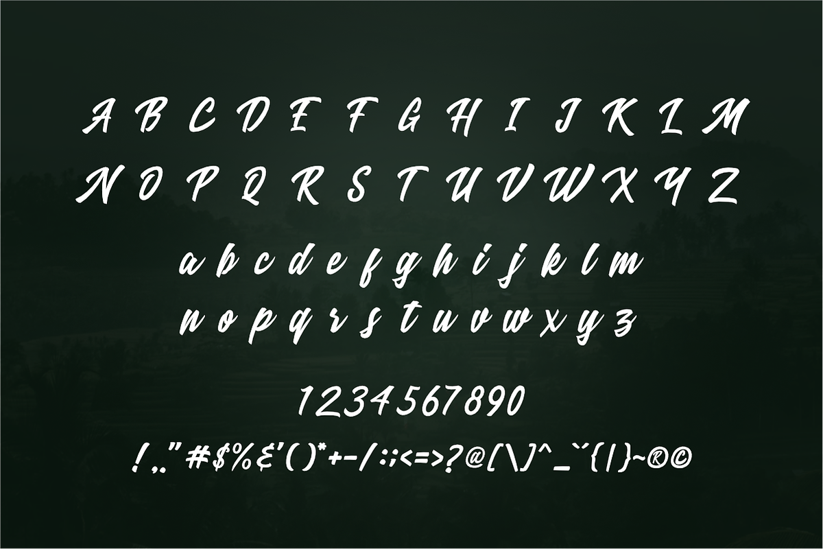 Ricefield Script preview 7