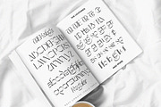 The Kaluge + BONUS ILLUSTRATIONS, a Serif Font by Alcode (Thumbnail 6 of 23)