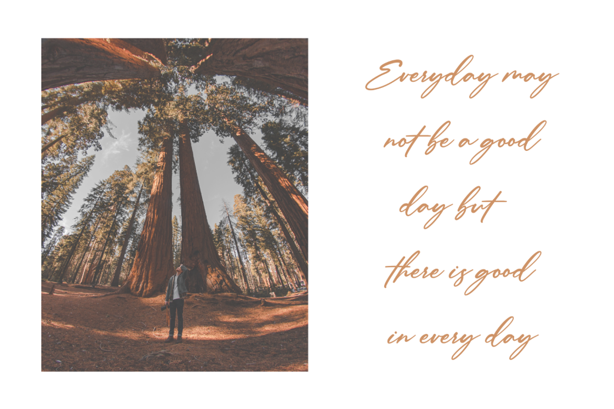 Anitto - Calligraphy Font (30%OFF), a Script Font by Pen Culture (Photo 9 of 12)