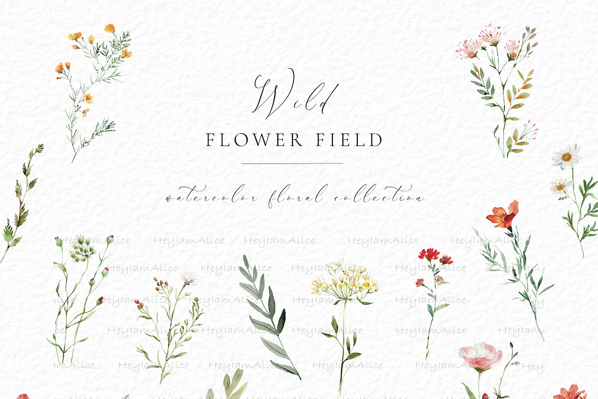Wild Flower Field, a Decorative Illustration by heyiamalice (Photo 3 of 10)