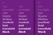 Gabriela, a Serif Font by Lechuga Type (Thumbnail 3 of 17)