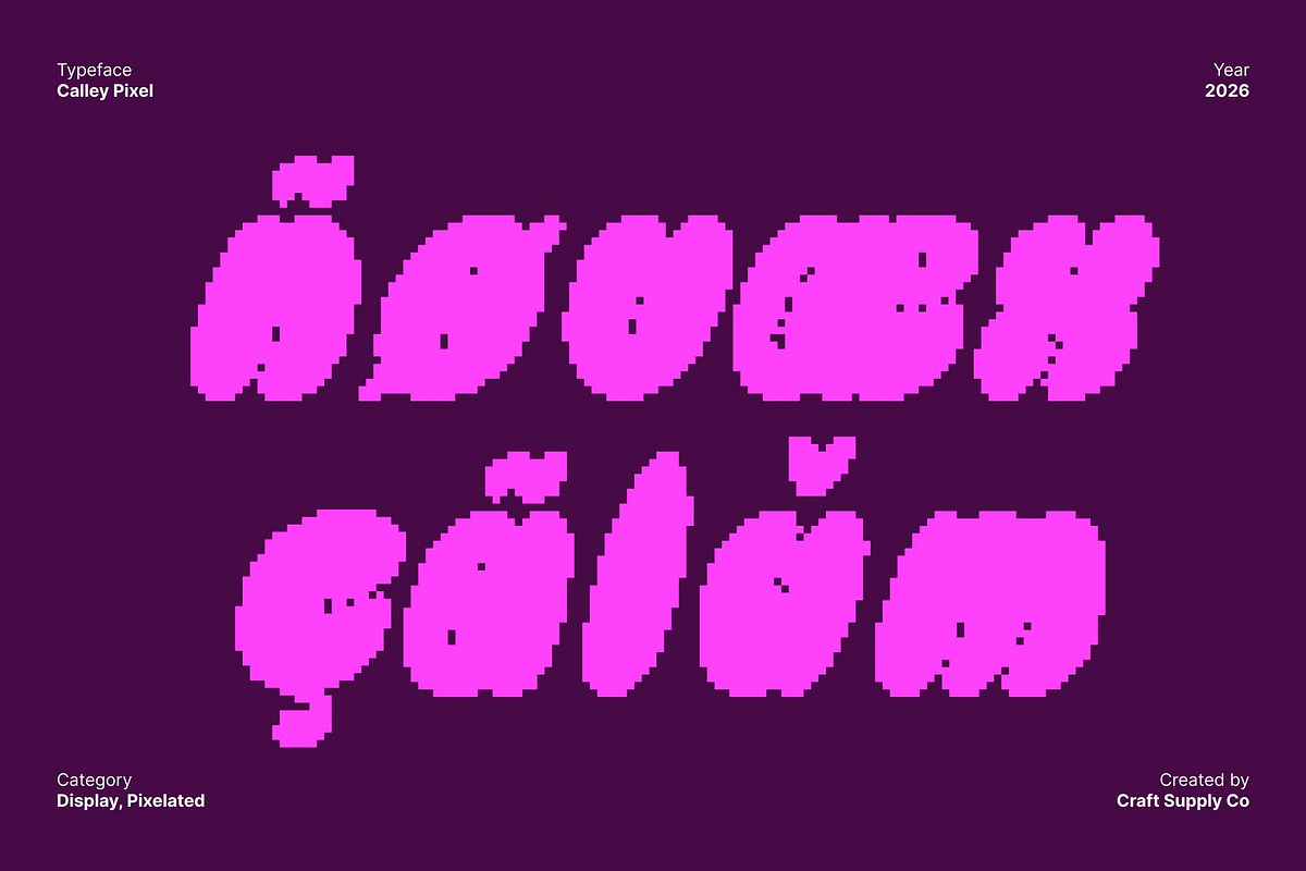 Calley Pixel, a Sans Serif Font by Craft Supply Co. (Photo 7 of 8)