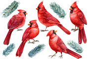 Christmas watercolor clipart, a Decorative Illustration by Hanna Hryharenka (Thumbnail 2 of 19)