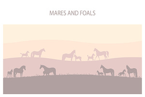 Mares and foals