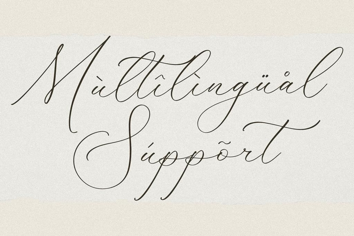 Fattrios Schudnel Chic Calligraphy, a Script Font by Storytype Studio (Photo 10 of 13)