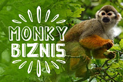 MONKY - 7 Styles Font, a Font by Brandspark (Thumbnail 2 of 9)