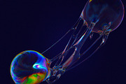 Sentience: Conscious Awareness, an Object Graphic by RuleByArt (Thumbnail 16 of 20)