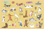 Yoga Cats & Dogs Clipart, an Animal Illustration by VianneArt (Thumbnail 2 of 11)