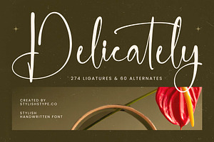 Delicately Stylish Handwritten Font, a Serif Font by stylishtype.co