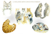 Street Cats, an Animal Illustration by Budogoshch (Thumbnail 3 of 6)