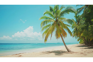 Tropical beach with palm trees and, a Nature Photo by Lermont51