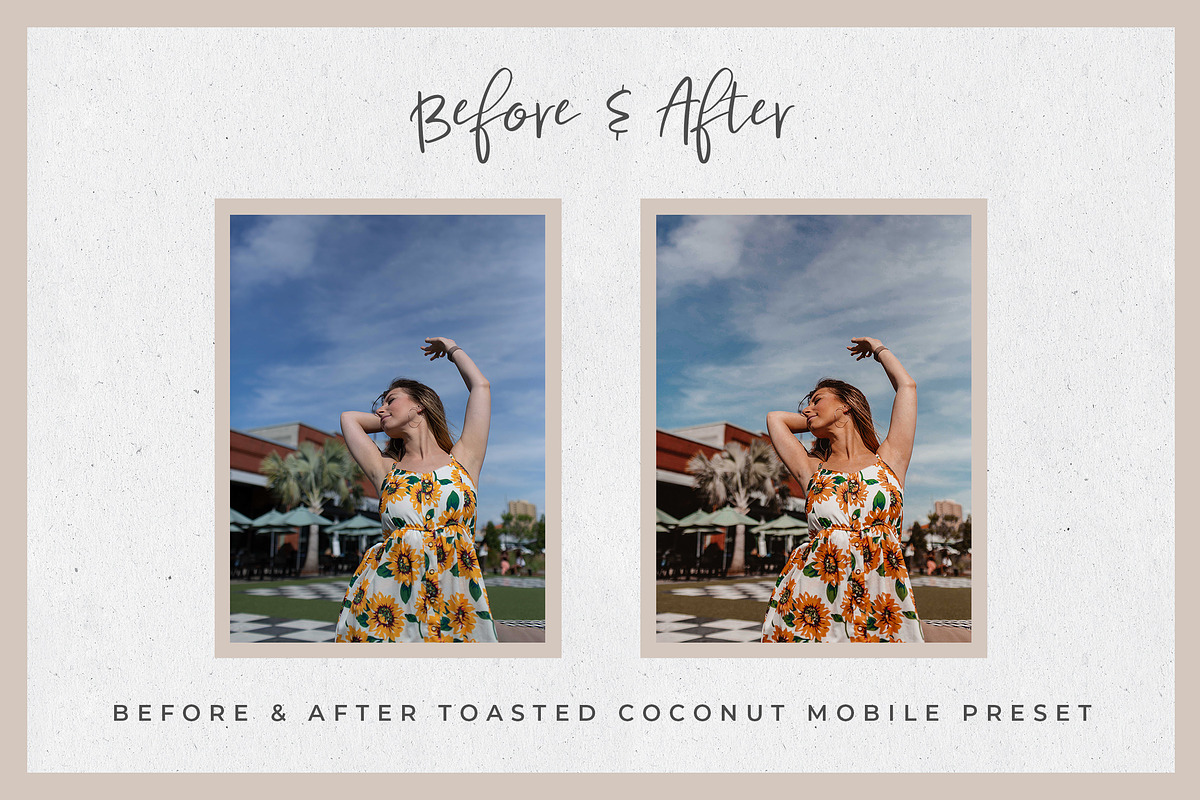 Toasty Lightroom Mobile Presets preview 8