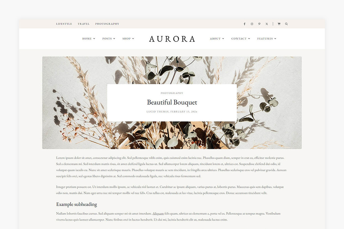Aurora - WordPress Blog & Shop Theme, a WordPress Template by Lucid Themes (Photo 6 of 8)