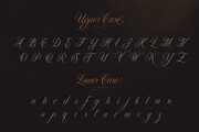 Chica Script Font, a Script Font by StockMamba (Thumbnail 10 of 17)