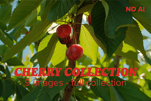 Cherry Photo Collection - NO AI