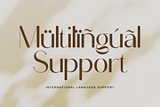 Amnegia - Beauty Elegant Sans Serif, a Sans Serif Font by PuriCreative (Thumbnail 7 of 10)