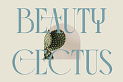 Comela Elegant Ligature Serif, a Serif Font by timelesstype.co (Thumbnail 4 of 20)