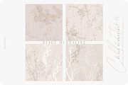 Beige botanical pattern collection, a Pattern Graphic by Anna Sokol (Thumbnail 5 of 16)