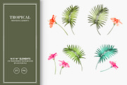 50% OFF! Tropical flowers & element, a Decorative Illustration by Kotkoa (Thumbnail 3 of 6)