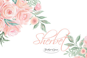 Watercolor Flowers - Sherbet