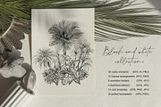 Tropical black& white plants, a Decorative Illustration by Jeanna Draw (Thumbnail 2 of 19)