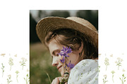 Watercolor Summer Wildflowers, an Illustration by polikarpovaart (Thumbnail 12 of 16)