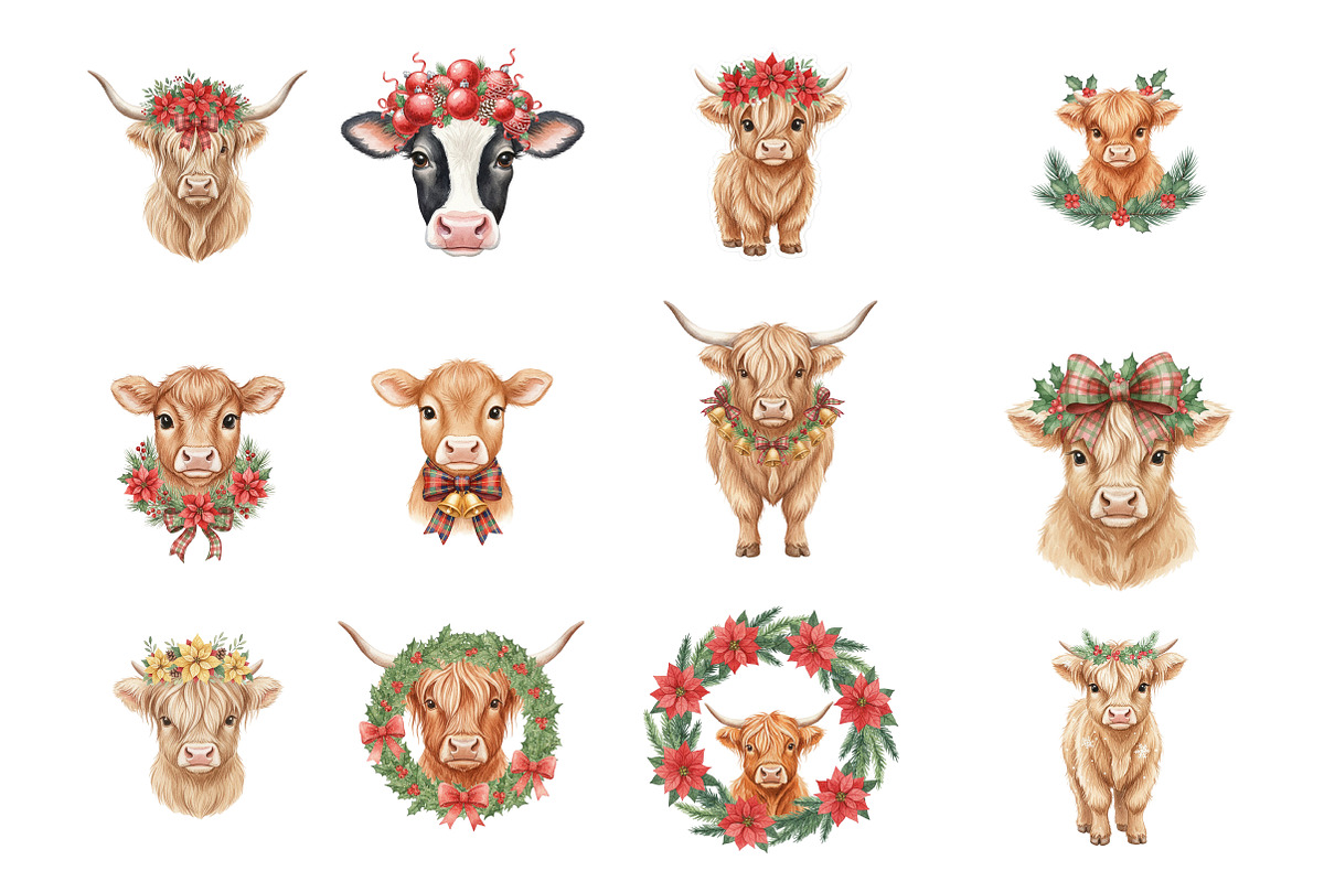 Christmas Highland Cow Clipart PNG, an Illustration by SinaCreation (Photo 2 of 7)