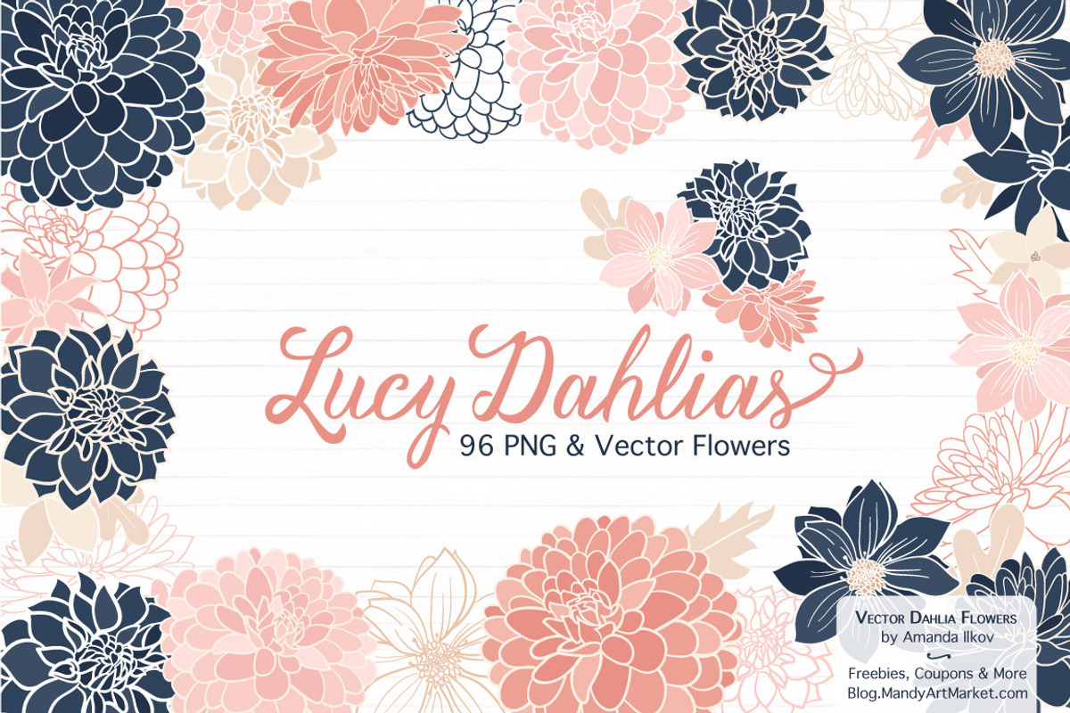 Navy & Pink Dahlia Clipart, an Illustration by Amanda Ilkov (Photo 1 of 4)