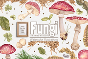 Fungi watercolor, an Illustration by Soir Creative (Thumbnail 1 of 3)