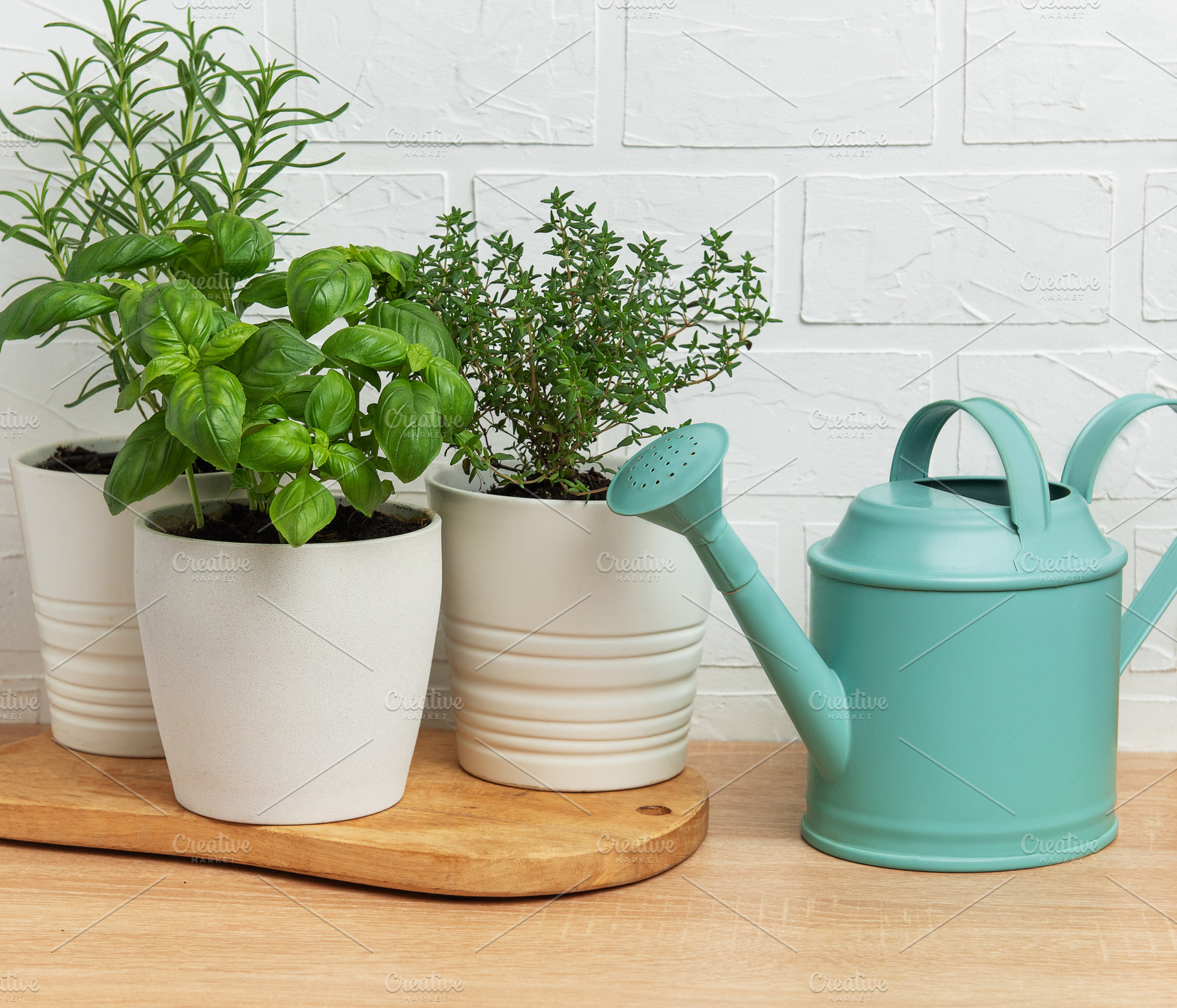 Fresh herbs growing in pots with watering can on wooden table, a Food & Drink Photo by Olena Rudo