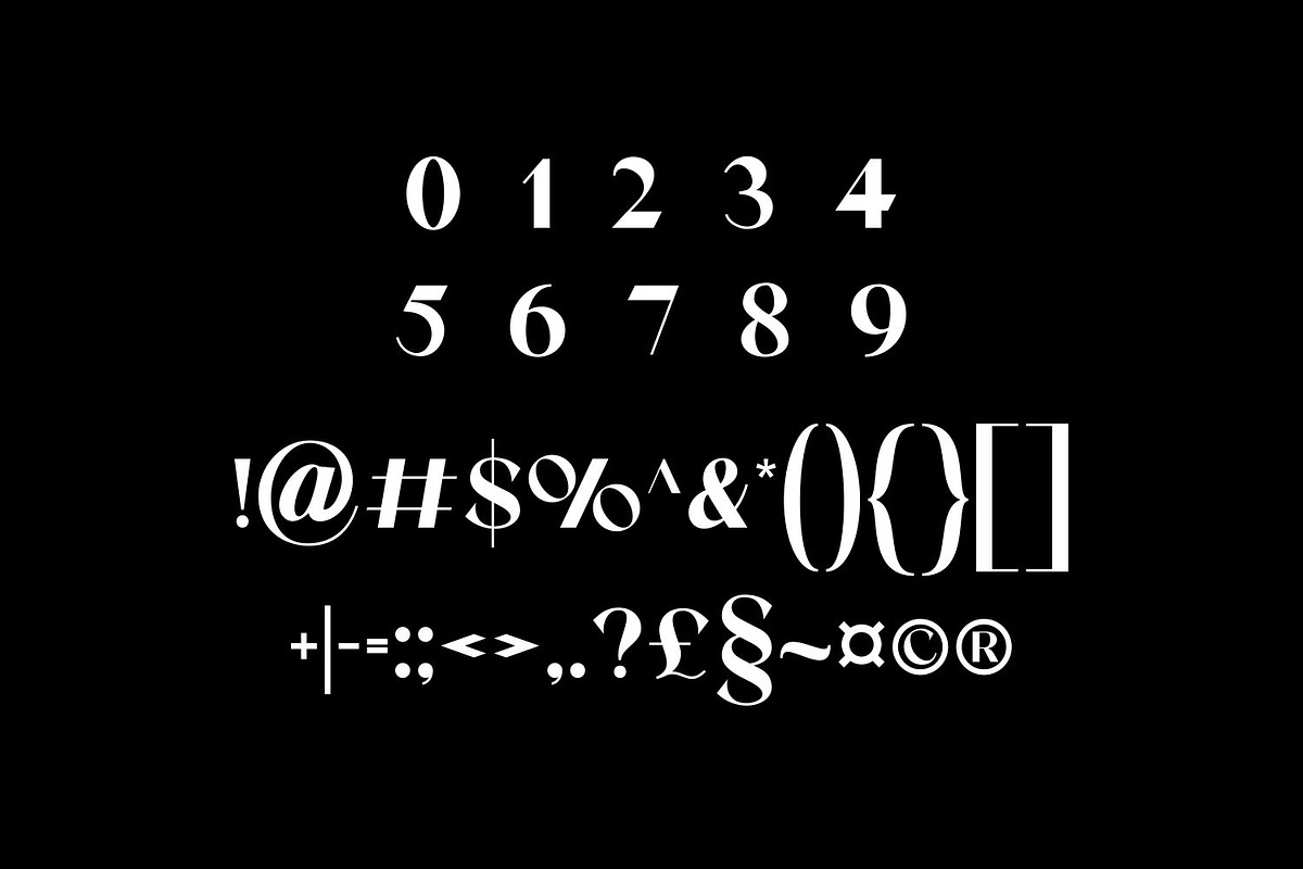 QUERY Display Bold Serif Font, a Serif Font by WhymoreArt (Photo 7 of 7)