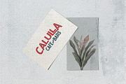Caltons Typeface With Extra Bonus, a Sans Serif Font by Wortfice (Thumbnail 7 of 15)