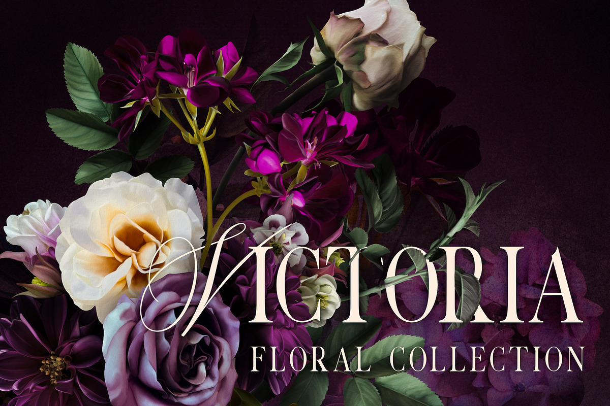 Regal Victoria Floral Collection, a Decorative Illustration by Eclectic Anthology (Photo 4 of 11)