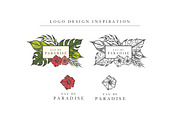 Hand Drawn Tropical Vector Elements, an Illustration by GraphicsByKassy (Thumbnail 3 of 5)
