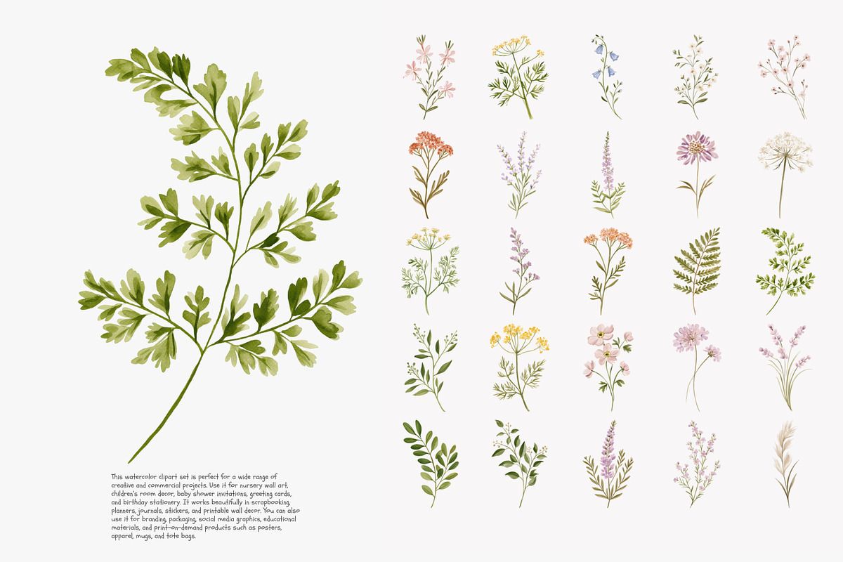 a wildflower meadow clipart set, a Decorative Illustration by Patishop Art (Photo 7 of 12)