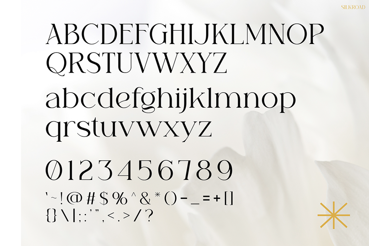 Silkroad, a Serif Font by Pinisi ART (Photo 2 of 10)