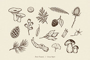FOREST TREASURES illustrations, a Seasonal Illustration by Crocus Paperi (Thumbnail 7 of 8)