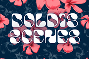 Bold Summer - Bold Display Font, a Font by AuthenType (Thumbnail 3 of 15)