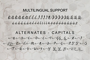 Ypsyllon, a Script Font by Digital Typeface Studio (Thumbnail 3 of 8)