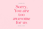 Meika Font, a Serif Font by vuuuds (Thumbnail 6 of 10)