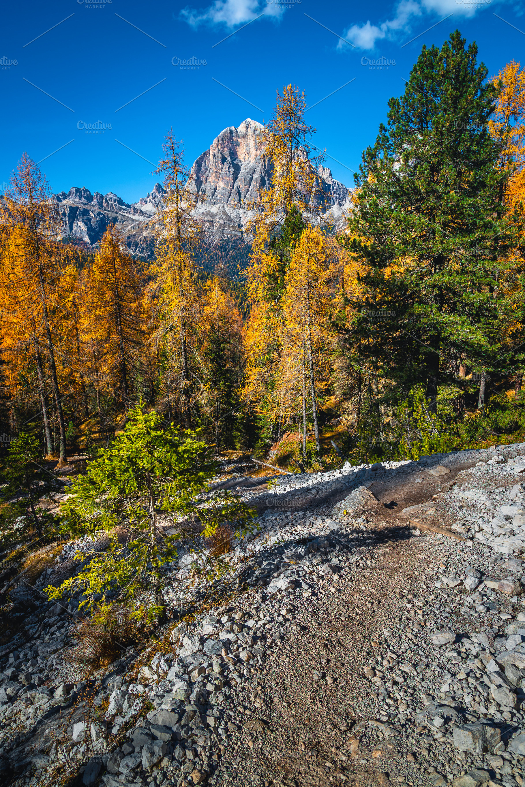 Gravel hiking trail in the forest, a Nature Photo by Alpine Dreams