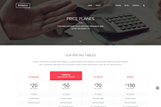 Mango - Portfolio&Business WP Theme, a WordPress Template by weblion (Thumbnail 5 of 10)